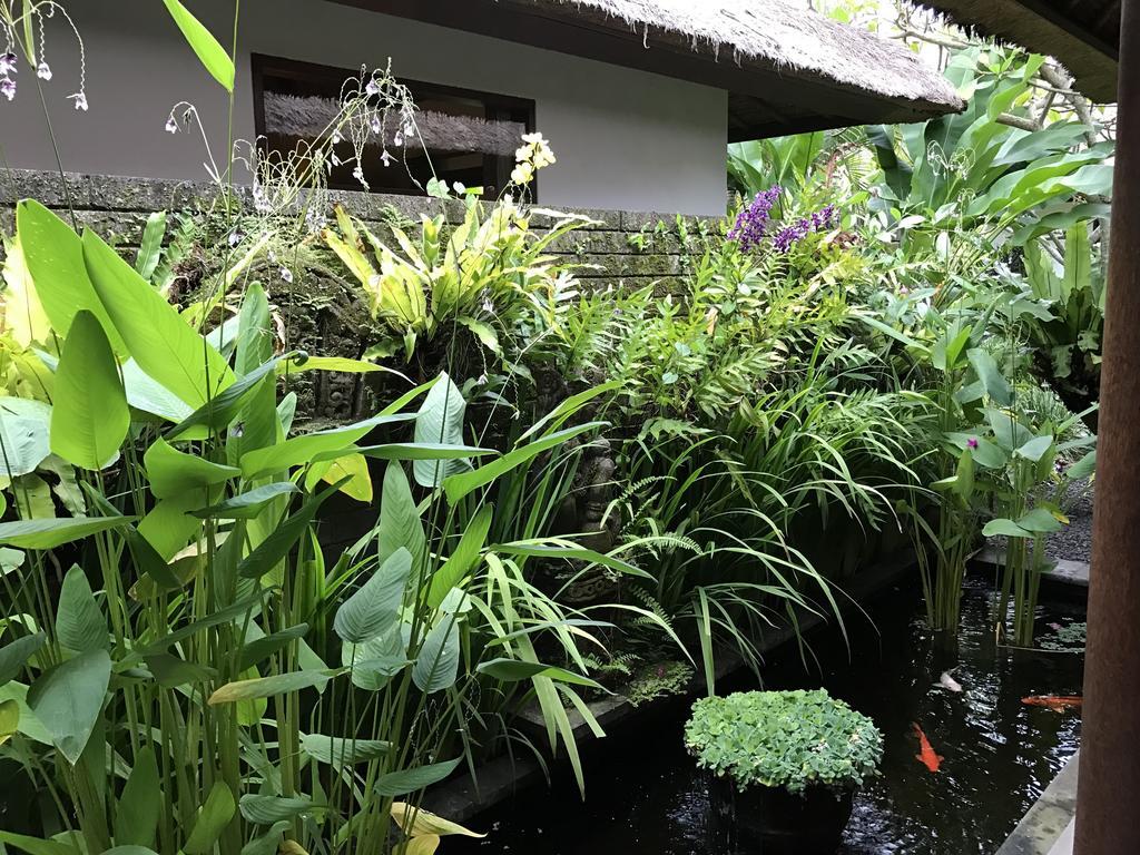 Bali Villa Aja Seminyak Exterior foto